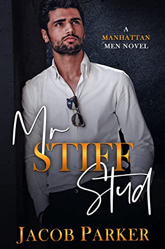 Mr Stiff Stud