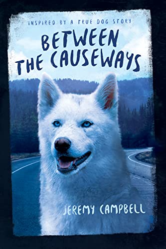 Between the Causeways