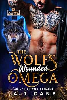 The Wolf's Wounded Omega: An MM Shifter Romance